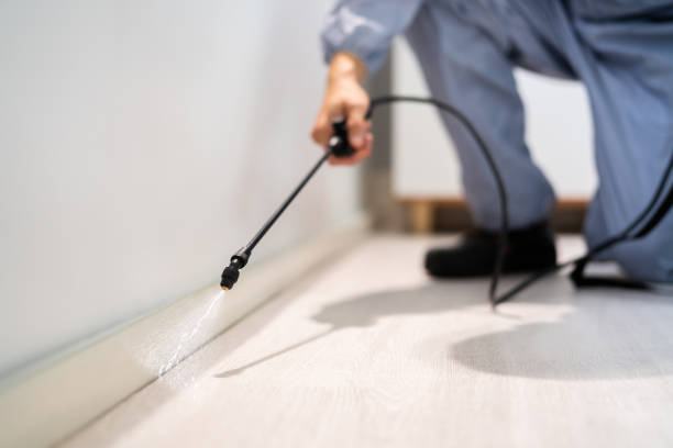 Licensed Termite Control service in New Deal, TX - Nex Pest Control