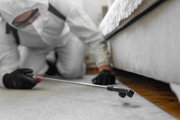 Professional Termite Control technician working in New Deal, TX