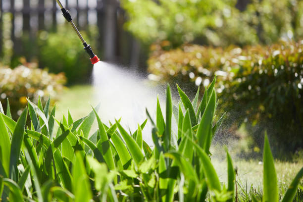 24/7 Emergency Termite Control experts in New Deal, TX