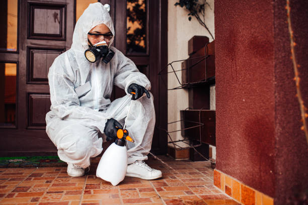Reliable Termite Control contractor in New Deal, TX by Nex Pest Control