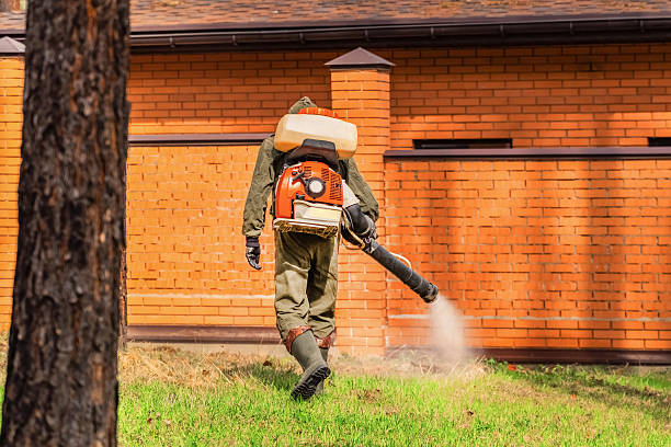 Top rated local Termite Control specialists in New Deal, TX